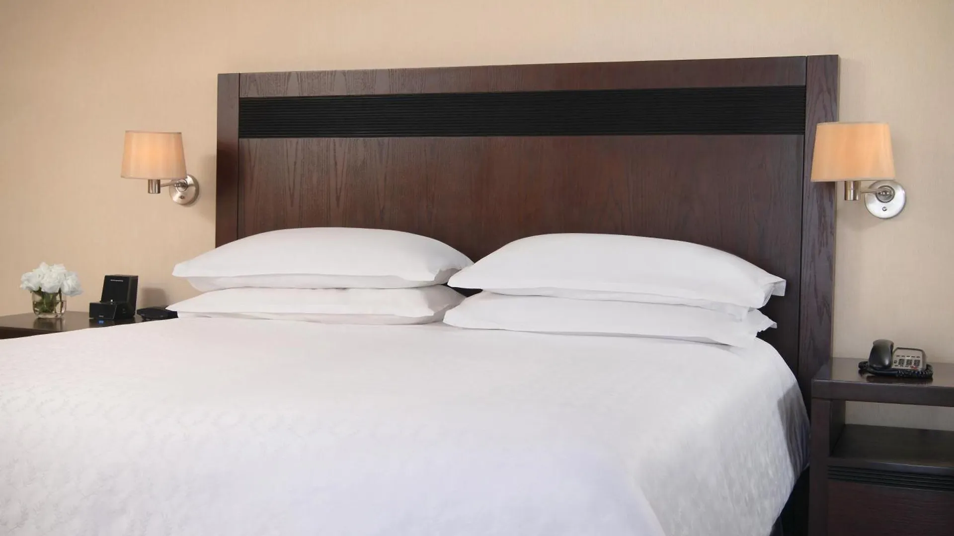 Sheraton سانتو دومينجو 5*,  جمهورية الدومينيكان